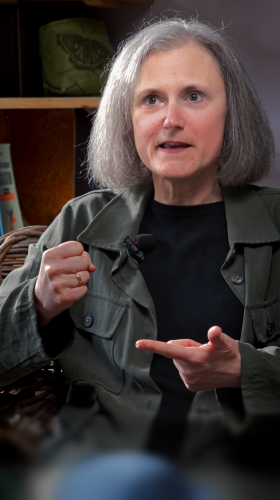 LES ROUTINES DU SPORTIF cover